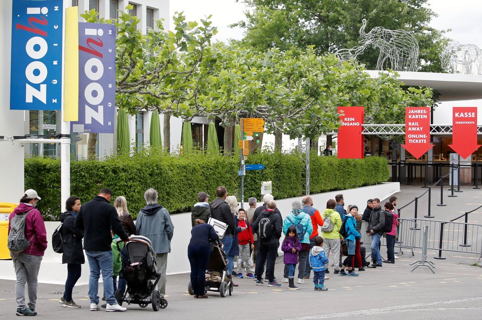 Zoologická zahrada ve švýcarském Curychu otevřela v červnu po pandemii koronaviru.