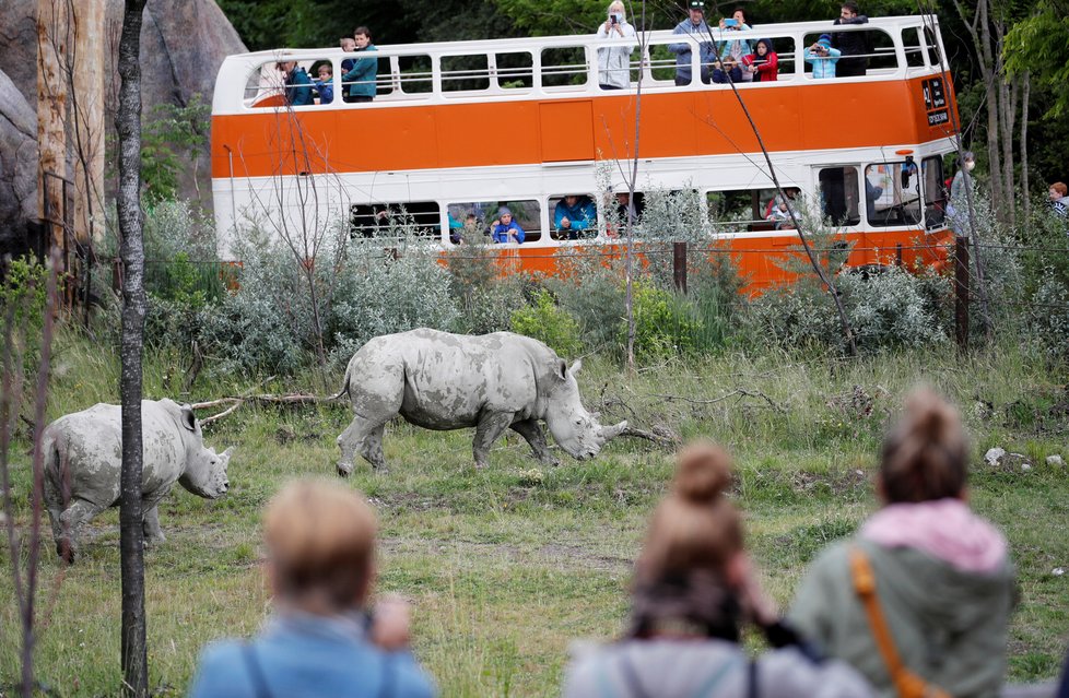 Zoologická zahrada ve švýcarském Curychu otevřela v červnu po pandemii koronaviru.