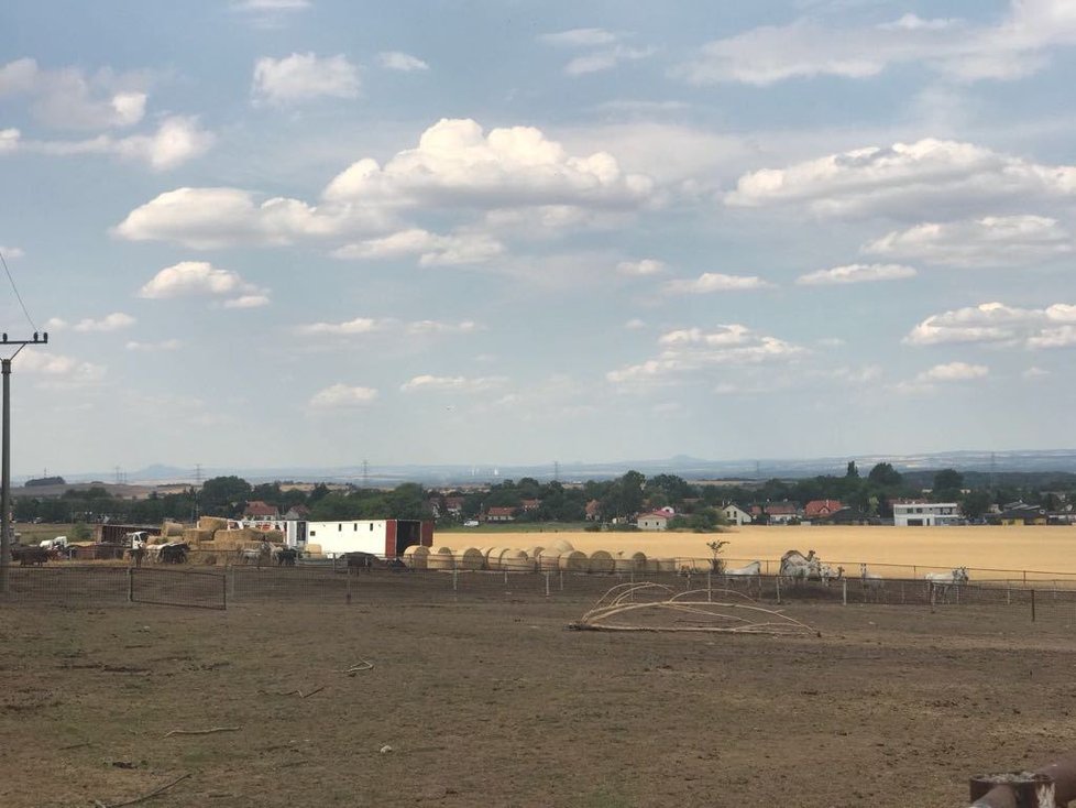 V Berouskově zooparku u Prahy proběhla tehdy razie.