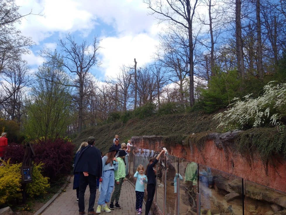 Před vstupem do brněnské zoo se o víkendech a v létě tvoří dlouhé fronty.