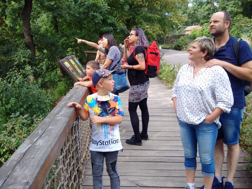 Pandy červené ve volné přírodě žijí pouze v pěti asijských zemích – v Číně, Myanmaru, Nepálu, Bhútánu a Indii.