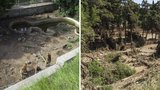 Pět dnů tahali mrtvá těla z bahna: Tým Zoo Praha pomáhal zatopené zoo v Tbilisi