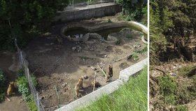 Pět dnů tahali mrtvá těla z bahna: Tým Zoo Praha pomáhal zatopené zoo v Tbilisi