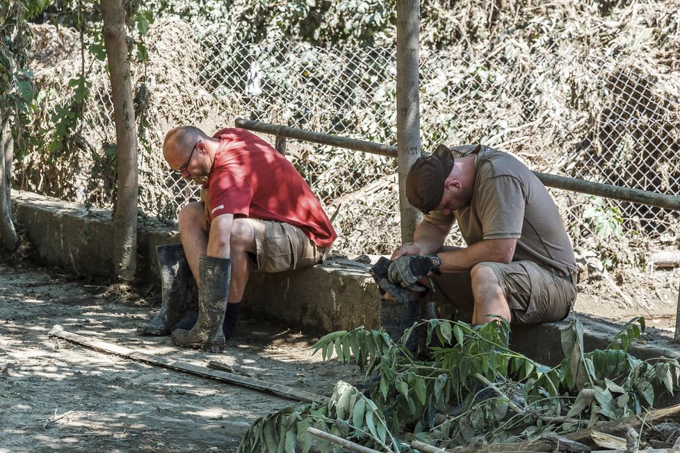 Do Tbilisi odjeli pomáhat pracovníci ze zoo Praha, Ústí nad Labem a Zlín