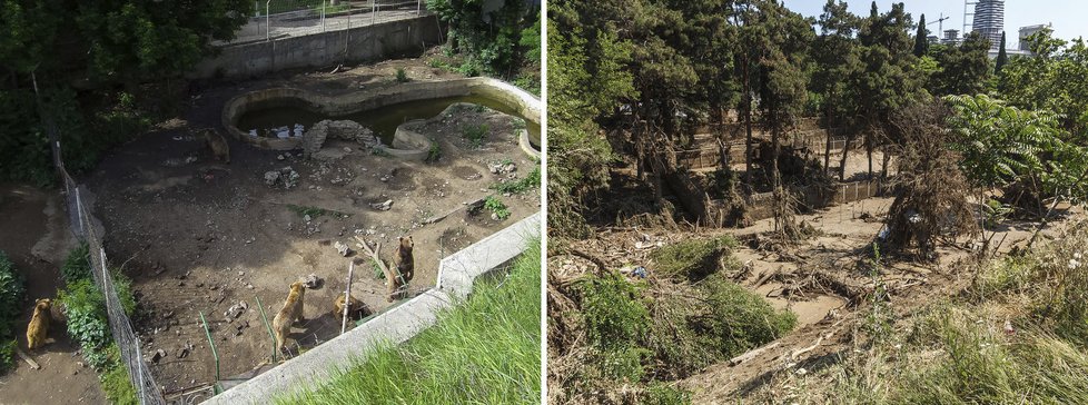 Tbiliská zoo před povodní a po povodni