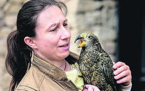 Mámu nestorovi nahradila v prvních měsících života veterinářka Helena Vaidlová.