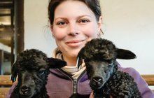 Narodili se čertíci: Ovce černé jako uhel