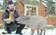 Babirusu sulaweskou nakrmil mluvčí zoo Martin Maláč.