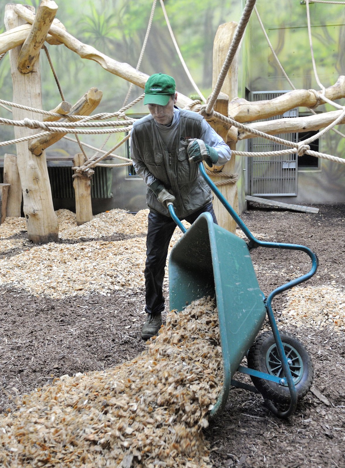 Ve Dvoře chystají pavilon pro miláčky pražské zoo – gorily.