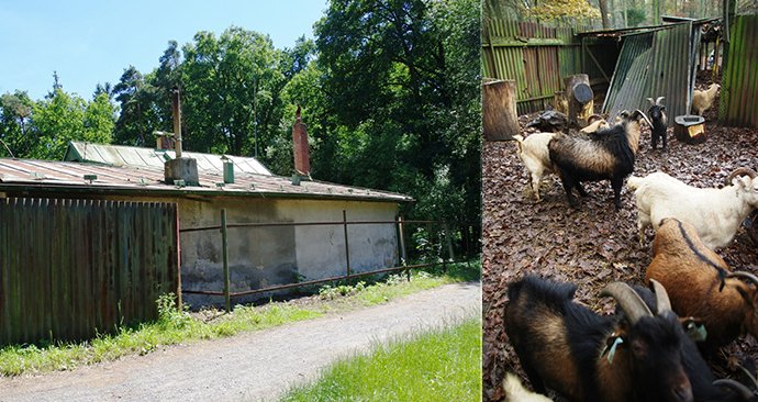 Takto vypadl zookoutek před rekonstrukcí