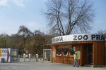 Do pražské zoo v pondělí dopoledne dorazilo několik stovek lidí