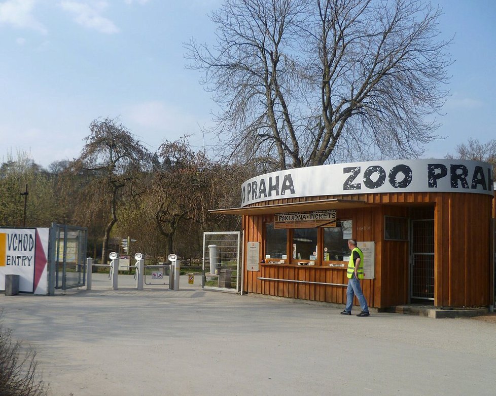 Uvelebí se pandy v pražské zoologické?