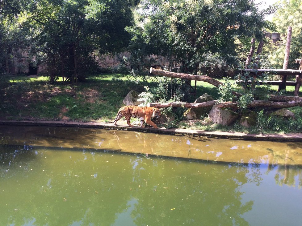 Spodní část areálu Zoo Praha, která se stále nachází v záplavové oblasti