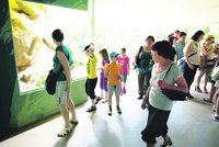 Novinka v pražské zoo za 6 milionů: Otevřeli šelminec a terárium