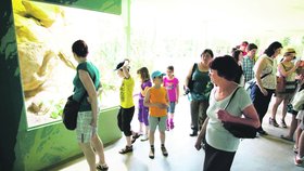 Novinka v pražské zoo za 6 milionů: Otevřeli šelminec a terárium