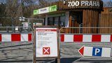 Zavřená Zoo Praha: Od magistrátu dostane velkou finanční injekci