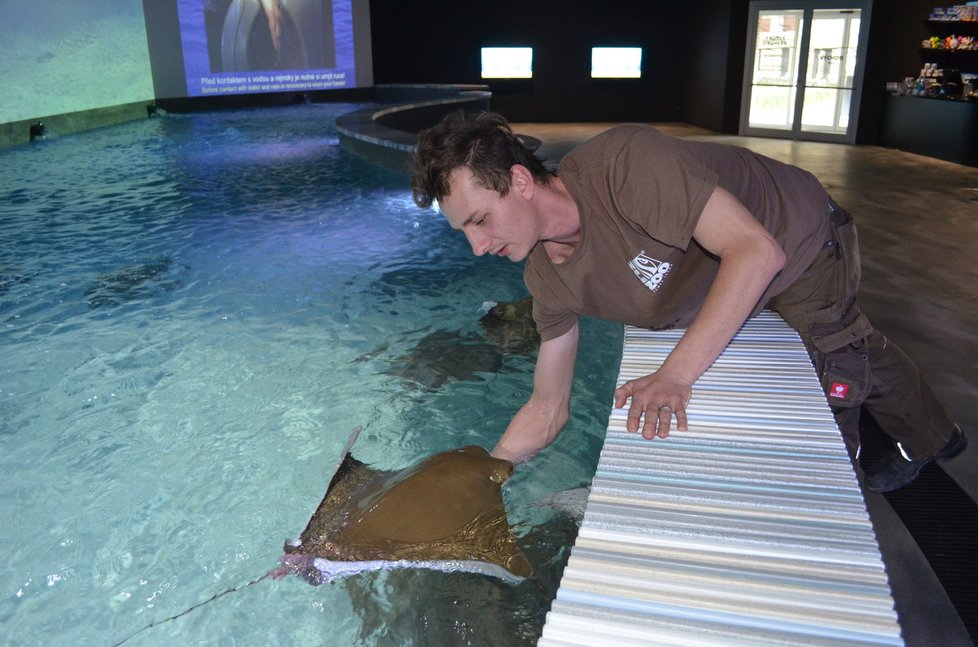 Zoologická zahrada Zlín (Lešná)