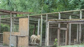 Zoopark ve Zvoli v den, kdy z něj utekla puma. 28. června 2018