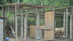 Zoopark ve Zvoli v den, kdy z něj utekla puma. 28. června 2018