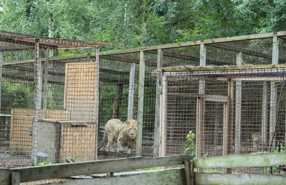 Zoopark ve Zvoli v den, kdy z něj utekla puma. 28. června 2018