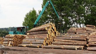 Lesy ČR lákají menší firmy do tendrů, zvýší počet územních jednotek