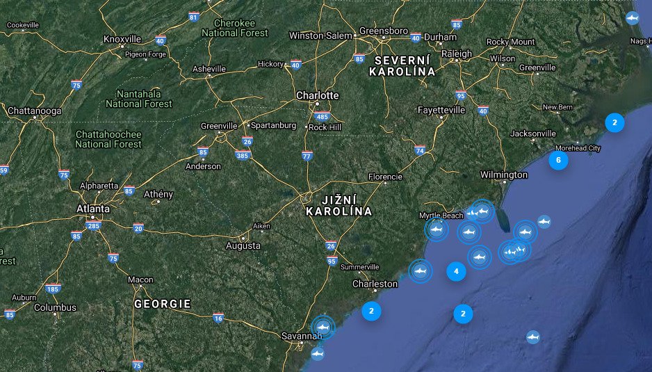 Aplikace Shark Tracker zaznamenala hromadění žraloků u břehů států Severní a Jižní Karolína.