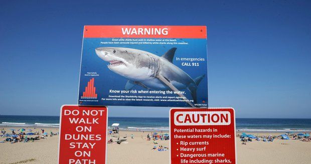 Zájemci o koupání v moři mají kvůli žralokům v USA těžké časy
