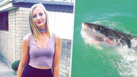 Australanku (32) při potápění napadl žralok.