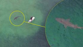 Australan Reed Plummer na záběrech ze svého dronu odhalil žraloka kroužícího kolem surfařů.