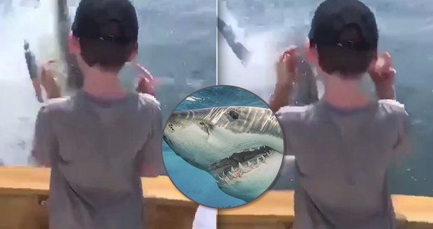 Děsivé záběry: Na loď otců s dětmi vyskočil obří žralok