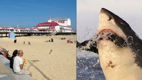 Britové mají strach, že u letoviska Great Yarmouth sídlí žralok bílý.