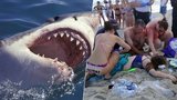 Krvavé útoky žraloka: Chlapec i dívka přišli o ruce!