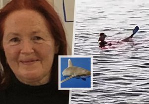 Na začátku července žralok v Egyptě usmrtil dvě ženy. První z nich byla Rakušanka Elisabeth Sauerová.