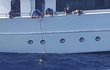 Německý potápěč pomohl chytit posádku lodi, ze které lidé ilegálně krmili žraloka