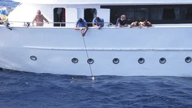 Německý potápěč pomohl chytit posádku lodi, ze které lidé ilegálně krmili žraloka.