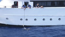 Německý potápěč pomohl chytit posádku lodi, ze které lidé ilegálně krmili žraloka.