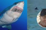 Žraloci se ženou k evropskému pobřeží!  „Jsme lehká kořist,“ říká český filmař mořských predátorů.