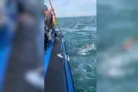 Hororový moment: Žralok se zakousl do člunu plného turistů! Křik a paniku zachytilo video