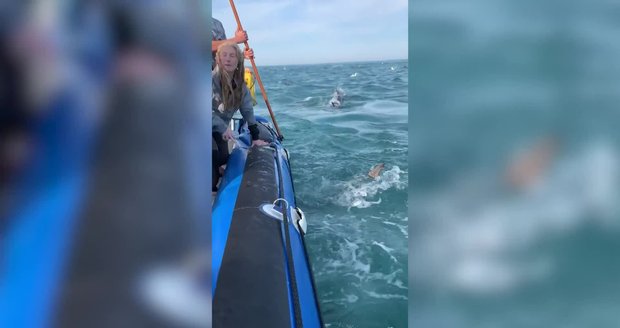 Hororový moment: Žralok se zakousl do člunu plného turistů! Křik a paniku zachytilo video