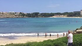 2,5 metru dlouhý žralok vyděsil turisty na pláži na ostrově Menorca