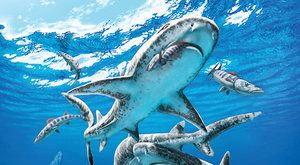 Úsvit moderních žraloků: Nadvláda žralounů