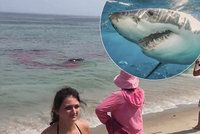 Žralok zaútočil přímo u plné pláže: Před lidmi roztrhal tuleně!
