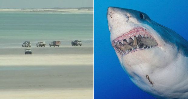 Žralok brutálně potrhal muže u oblíbené pláže: Když ho vytáhli z krvavé vody, zemřel