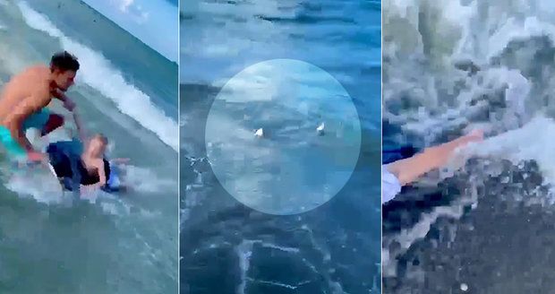 Na chlapečka v moři si brousil zuby žralok! Na poslední chvíli ho zachránil policista
