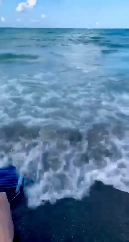 Jiný případ útoku žraloka, opět se šťastným koncem. Policista mimo službu zachránil chlapce před žralokem na pláži Cocoa Beach.