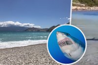 U chorvatských břehů se objevil žralok! Dvoumetrový predátor plaval na mělčině v dovolenkovém ráji Čechů