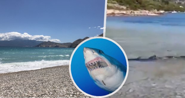 U chorvatských břehů se objevil žralok! Dvoumetrový predátor plaval na mělčině v dovolenkovém ráji Čechů