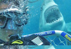 Vyfotit si selfie se žralokem? Žádný problém