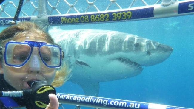 V australském Port Lincoln se turisté mohou v kleci potopit ke žralokům (ilustrační foto).