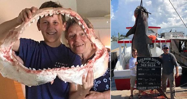Životní úlovek třináctiletého rybáře: Chlapec z moře vytáhl 380kilového žraloka!